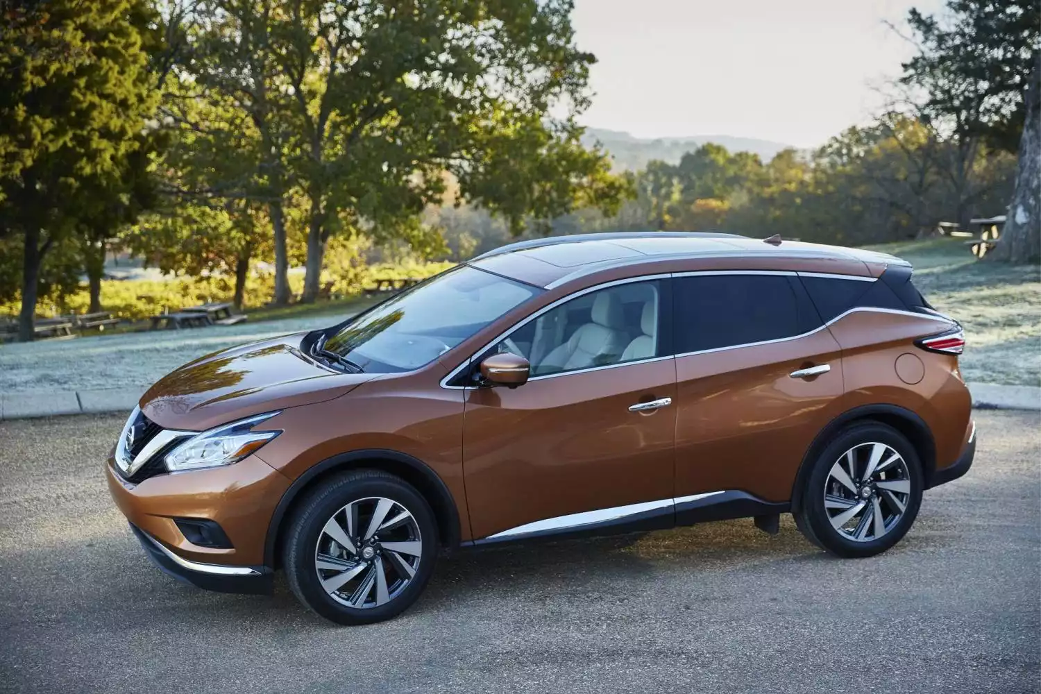 car garbage can for Nissan Murano