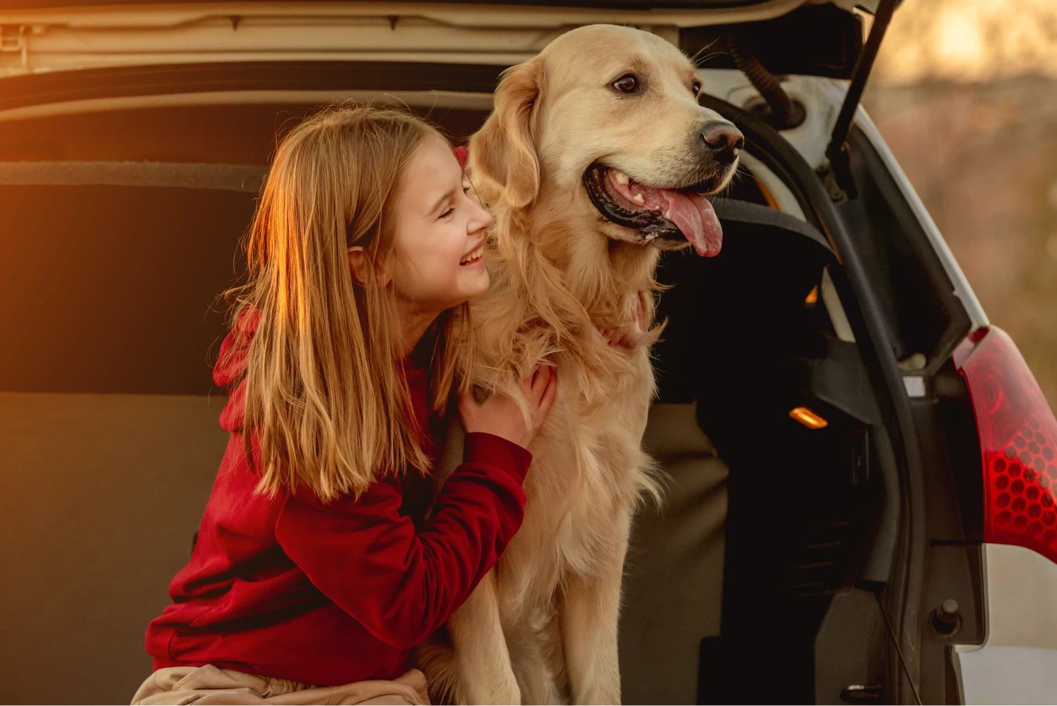 Ram Truck Dog Safety Belt for Golden Retrievers